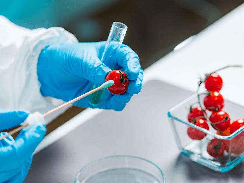 biotecnologIa-en-la-industria-alimentaria